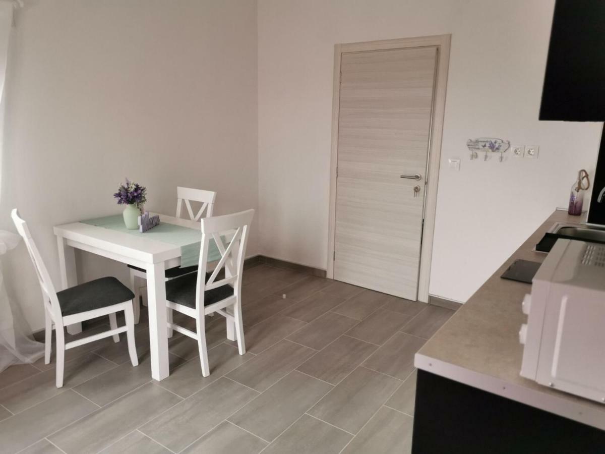 נובי ווינודולסקי Vila Zdenka מראה חיצוני תמונה