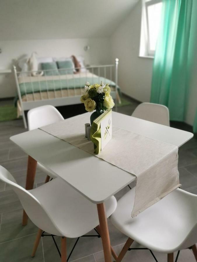 נובי ווינודולסקי Vila Zdenka מראה חיצוני תמונה